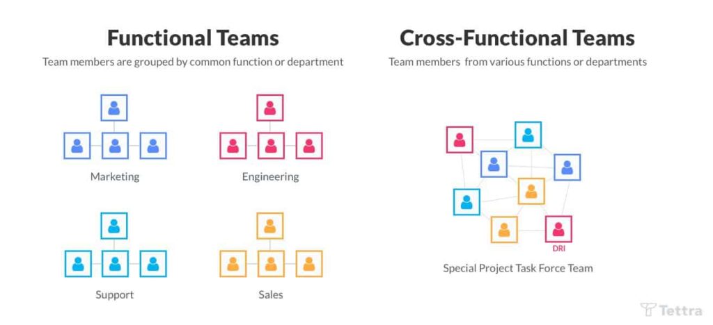 functional vs. cross functional teams