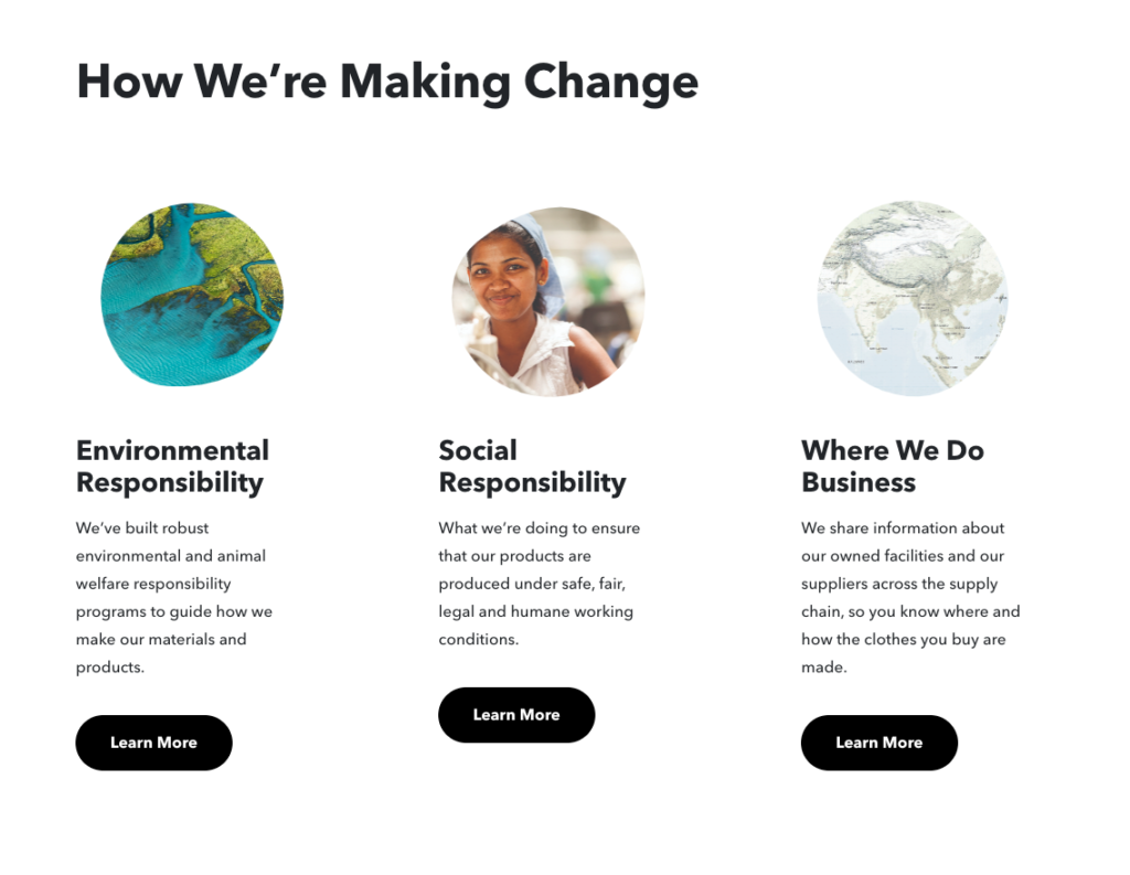patagonia social impact website screenshot